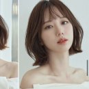 오우드 이미지
