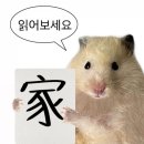 세븐일레븐 안성중대본점 | 내 퍼컬은 피컬: 율턴의 절반을 보내며