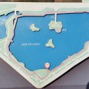 나무테크 이미지