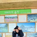 강철복싱 네이버블로그