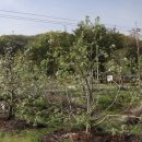 추정3리 이미지