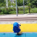 중아 | 김포ㅣ6살 딸과 함께 다녀온 한강중아공원 물놀이장 자세한 후기
