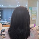와이즐리 초극손상 케어 워시오프 케라틴 트리트먼트쓰고 물미역 된 후기