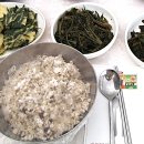 인생만족