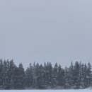 팜팜스테이 이미지