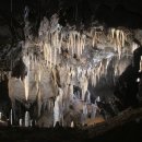 신비로-3 이미지