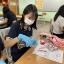 야탑고등학교내 이미지