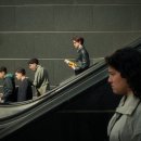 미국 대선을 앞둔 세계+ 민주주의는 어디로? | 트럼프 지지율 급락? 원인 &amp; 향후 전망 심층 분석