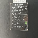 신현무관 | 유월의 유일한 소망은