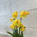 제4회 버스킹 stage 280 | 🎡 두번째 에버일기