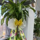 순수회화라움미술학원