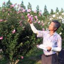 평화공원내 이미지