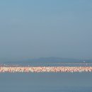 남파랑길 이미지