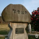 무등로2구간 이미지