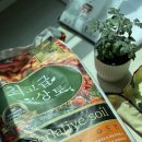 관수농장 | [식집사] 분갈이흙 고민 끝, 거목산업사 최고급 상토 화분흙 후기