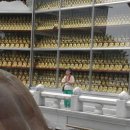 윤씨농장 이미지