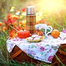 행복부동산중개 이미지