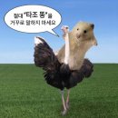 큰 물에서 놀아봐야 진짜 나를 만난다 | 2025 부산국제록페스티벌 후기