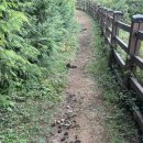 올레휴 | [제주/성산읍] 제주올레길1코스(시흥리정류장~광치기해변) 후기