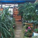 새집만석꾼 이미지