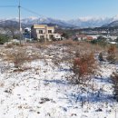 강하우체국 이미지