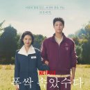 제주 보헤미안 | 보헤미안 커피차, 폭삭 속았수다 서포트 후기 공유!! - 넷플릭스 폭삭 속았수다 아이유, 박보검, 공감...