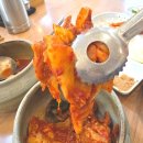 곰탕수육전문 | 30년전통 나주맛집 탯자리나주곰탕 1인세트, 곰탕+수육 한번에