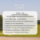 다산래쉬브로우 | 다산 속눈썹펌 미야오래쉬 후기