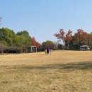 새보람유치원 이미지