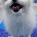 나래동물병원 이미지