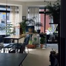 쏘해피 | <제주> 제주 혼자 힐링하기 좋은 카페｜식물과 강아지가 있는 ‘쏘해피 카페’ 후기