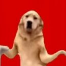 건양대학병원 메디컬 휘트니스센터 이미지