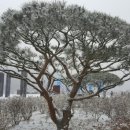 느리실마을 이미지