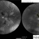 아이사랑동물약국 이미지