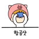 샤오환슝 이미지