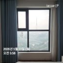 하노이 일상 | 좋은 소식 + 나쁜 소식 = 0 _5월 둘째주