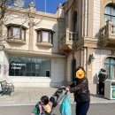 백설공주와 겁많은 호랑이 | 20개월 아기랑 에버랜드 워킹사파리 평일 후기/주차/식사/판다월드/대기시간