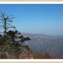 (주)백령여행사 Daum카페
