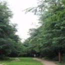 서울숲5 이미지