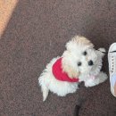 공원옆 동물병원 이미지