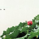 청주문화관 제2전시실 이미지