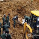 진척농장 이미지