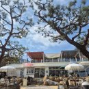 하동 | 경남 하동 청학동 삼성궁 카페 '하동행궁' 솔직후기(+메뉴, 주차정보)