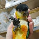 에덴 파크 이미지