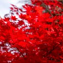 존재의 무게 이미지