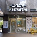 크리스탈 반려견미용실 이미지