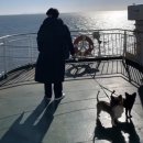 녹동목장 이미지