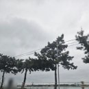 명륜진사갈비울산주전점 이미지