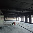 사파동055 이미지