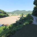 옥천공인중개사사무소 네이버블로그